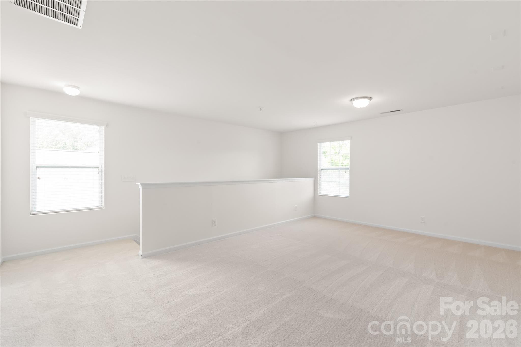 Single Family Residence at 8411 Romana Red Lane, Charlotte, photo 22 of 34