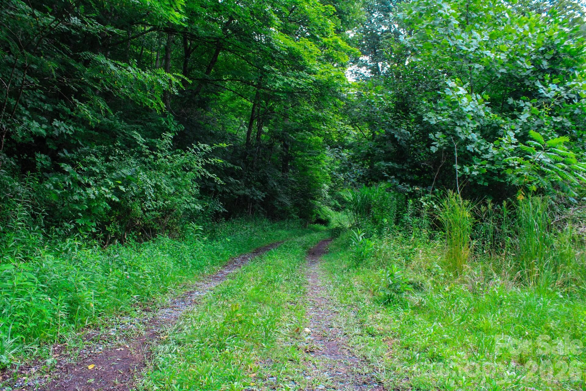 Acreage at 3454 Puncheon Fork Road, Mars Hill, photo 20 of 42