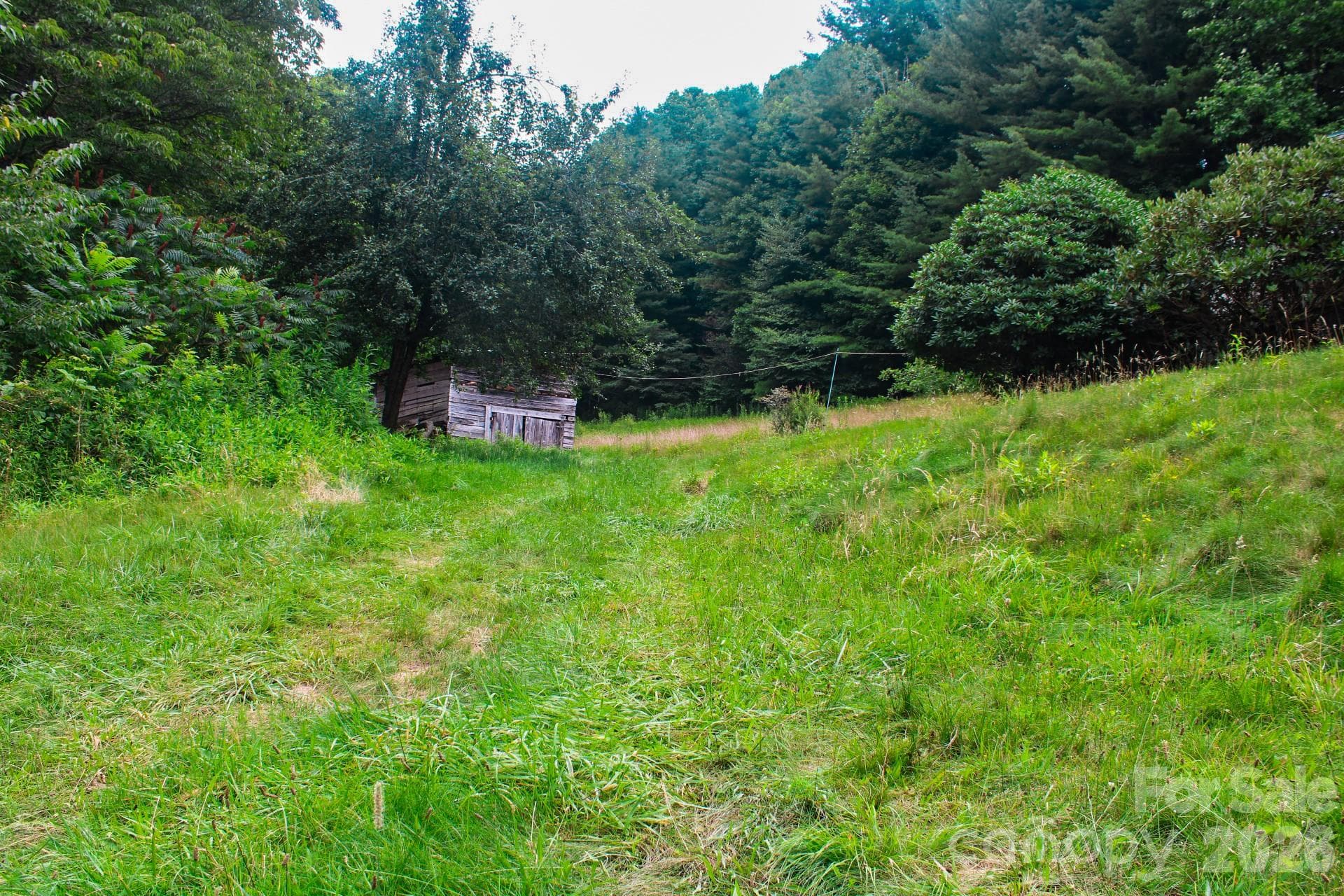 Acreage at 3454 Puncheon Fork Road, Mars Hill, photo 24 of 42