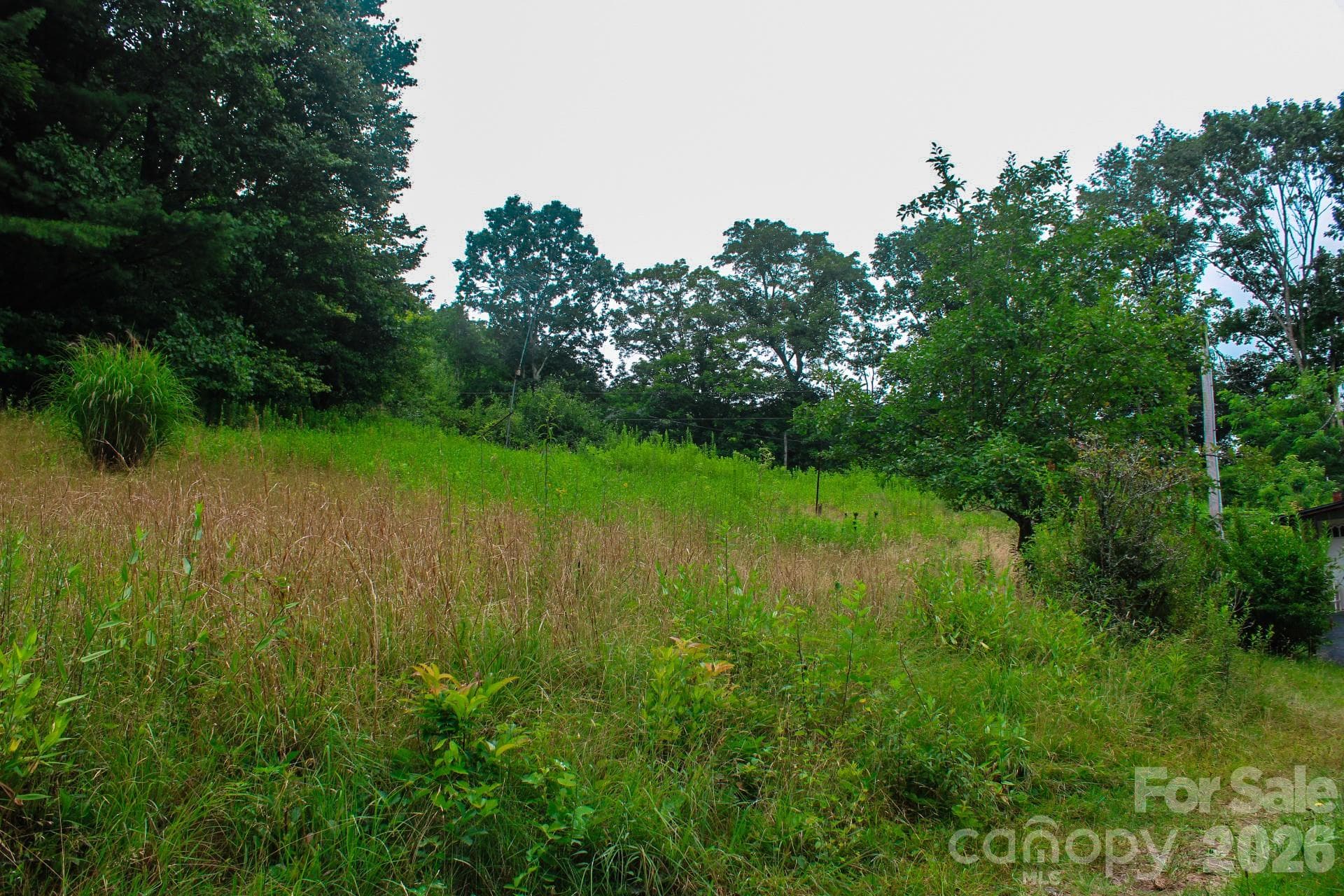 Acreage at 3454 Puncheon Fork Road, Mars Hill, photo 29 of 42