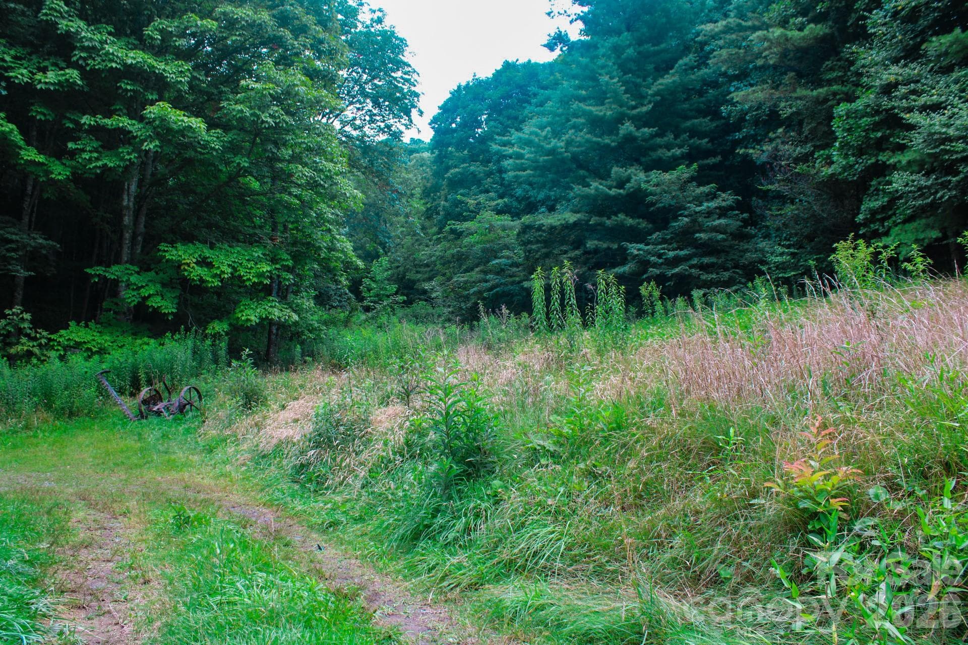 Acreage at 3454 Puncheon Fork Road, Mars Hill, photo 31 of 42