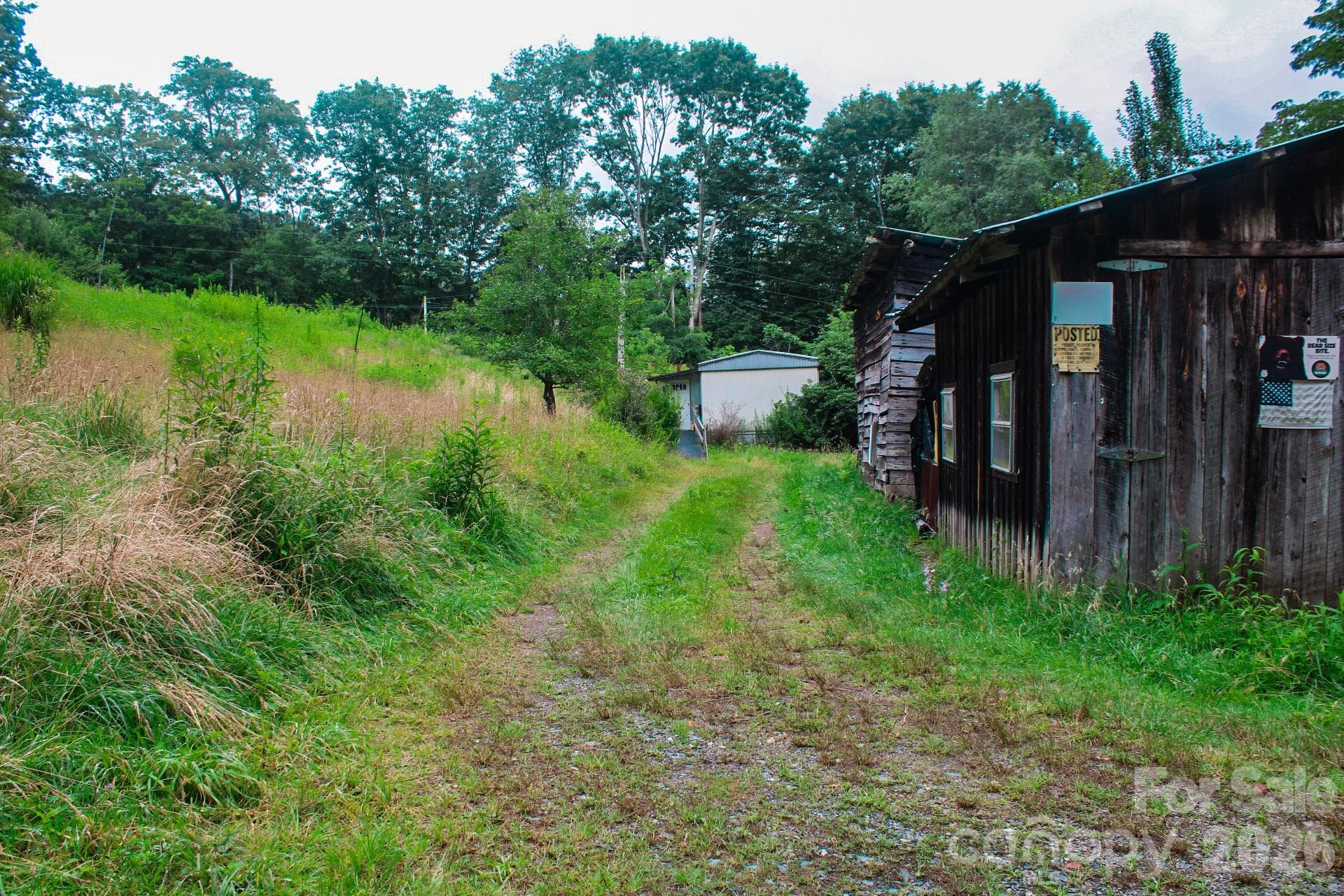 Acreage at 3454 Puncheon Fork Road, Mars Hill, photo 35 of 42