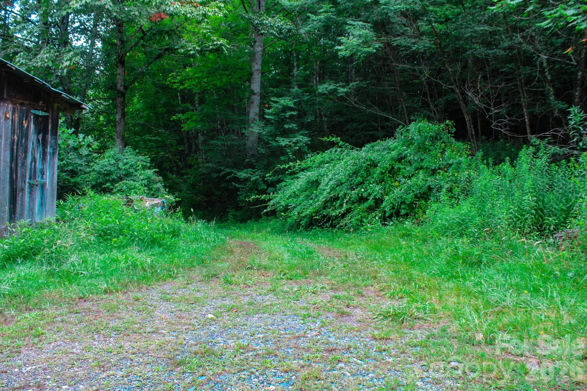 Acreage at 3454 Puncheon Fork Road, Mars Hill, photo 37 of 42