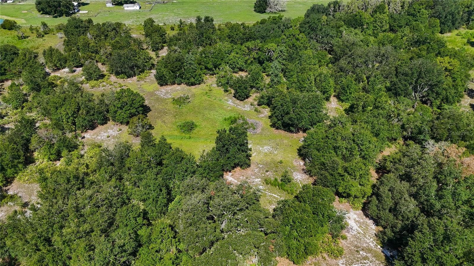 Land at RED HAWK LN, PLANT CITY, photo 23 of 44