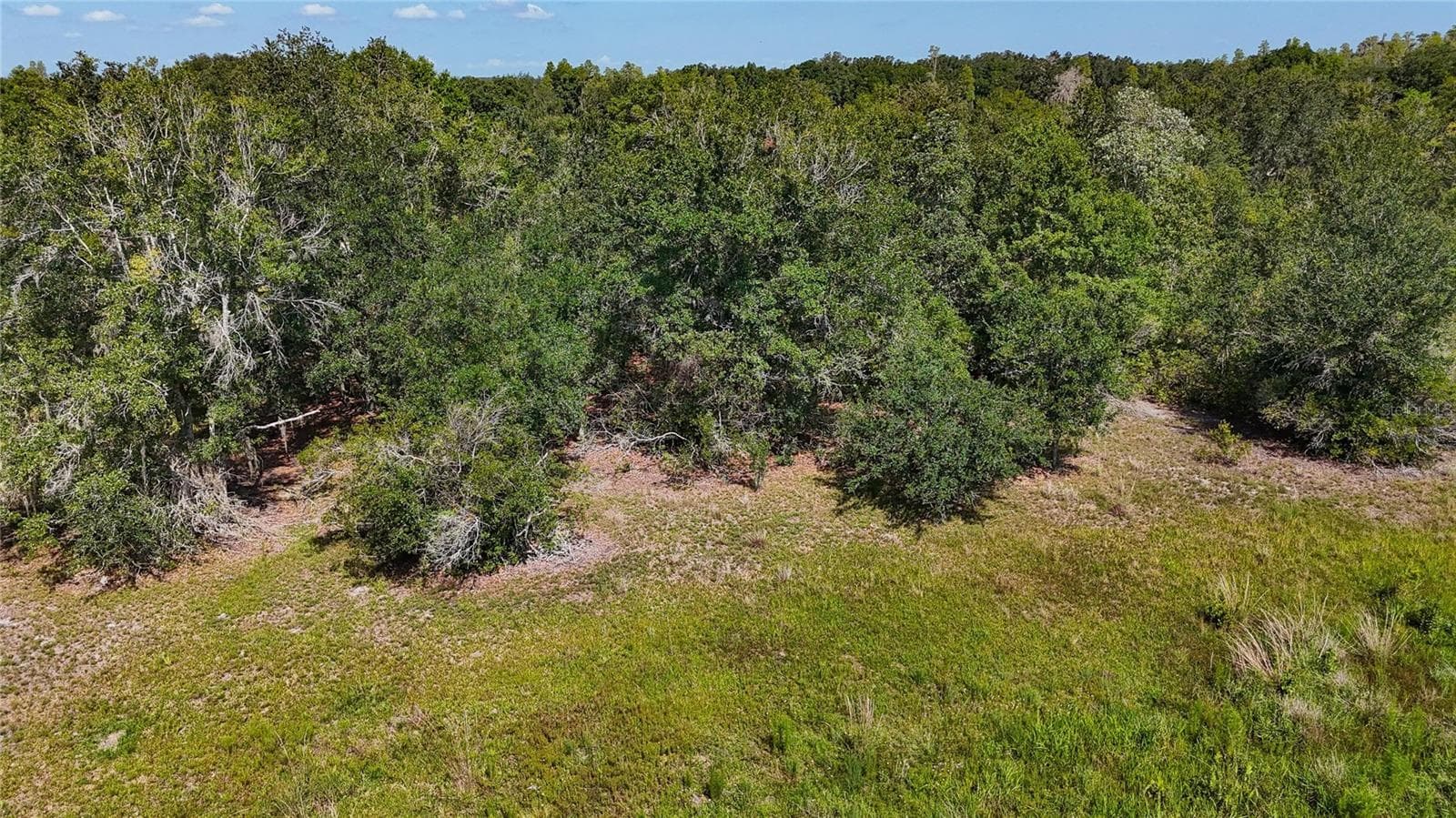 Land at RED HAWK LN, PLANT CITY, photo 27 of 44