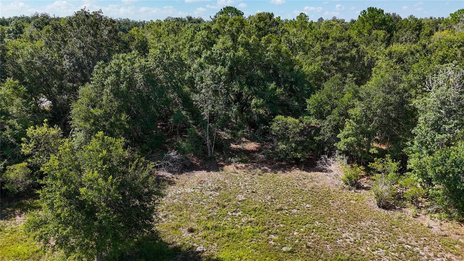 Land at RED HAWK LN, PLANT CITY, photo 30 of 44