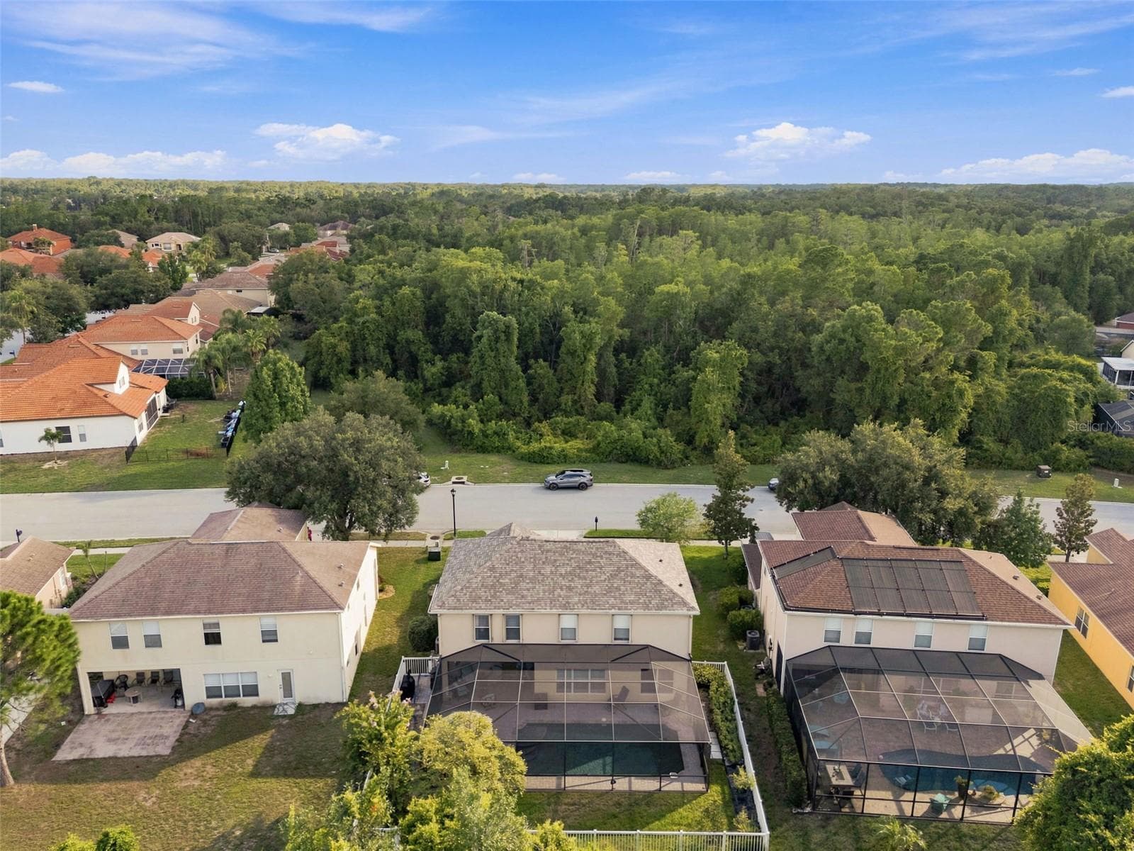 Conservation views in the back & front yards. - 11507 BELLE HAVEN DR, NEW PORT RICHEY