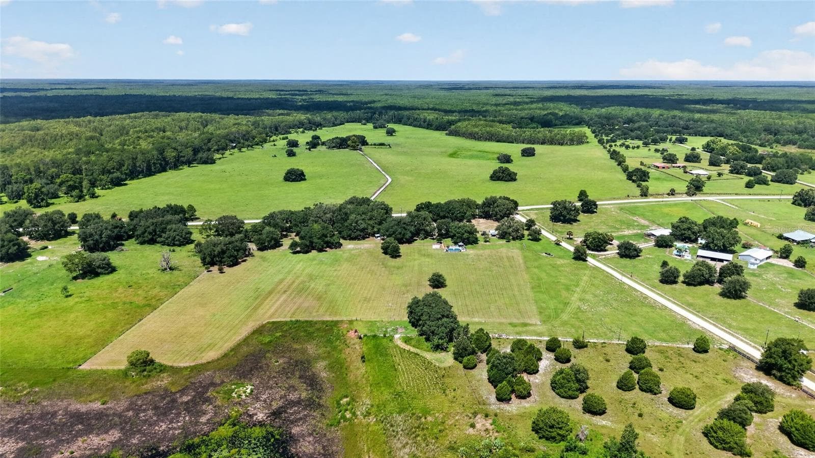 Farm at 12651 SE COUNTY ROAD 337, DUNNELLON, photo 80 of 89