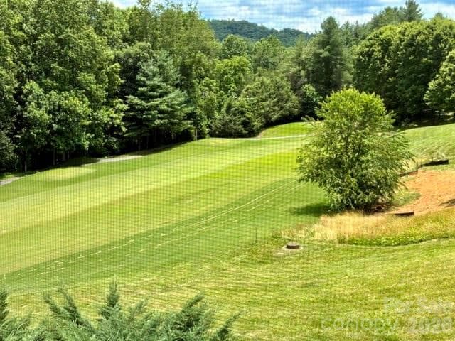 Lot at Hendersonville, photo 2 of 27