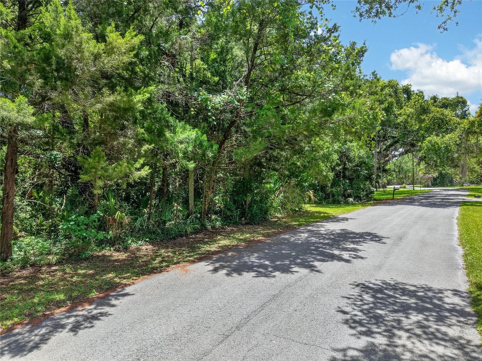 Land at 0 SW PALM POINT, INGLIS, photo 3 of 8