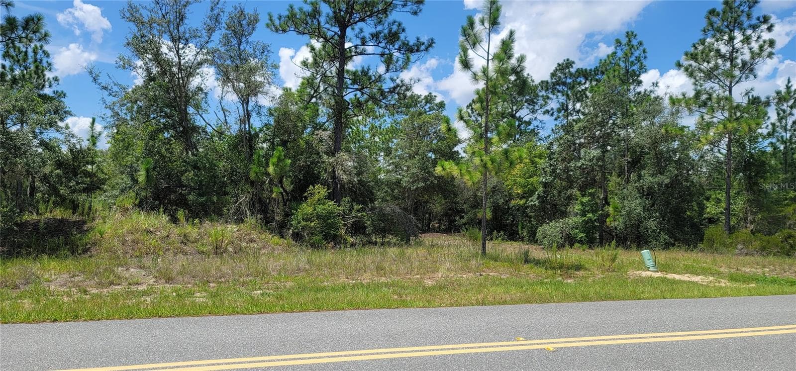 Land at 10339 N G MARTINELLI BLVD, CITRUS SPRINGS, photo 8 of 14