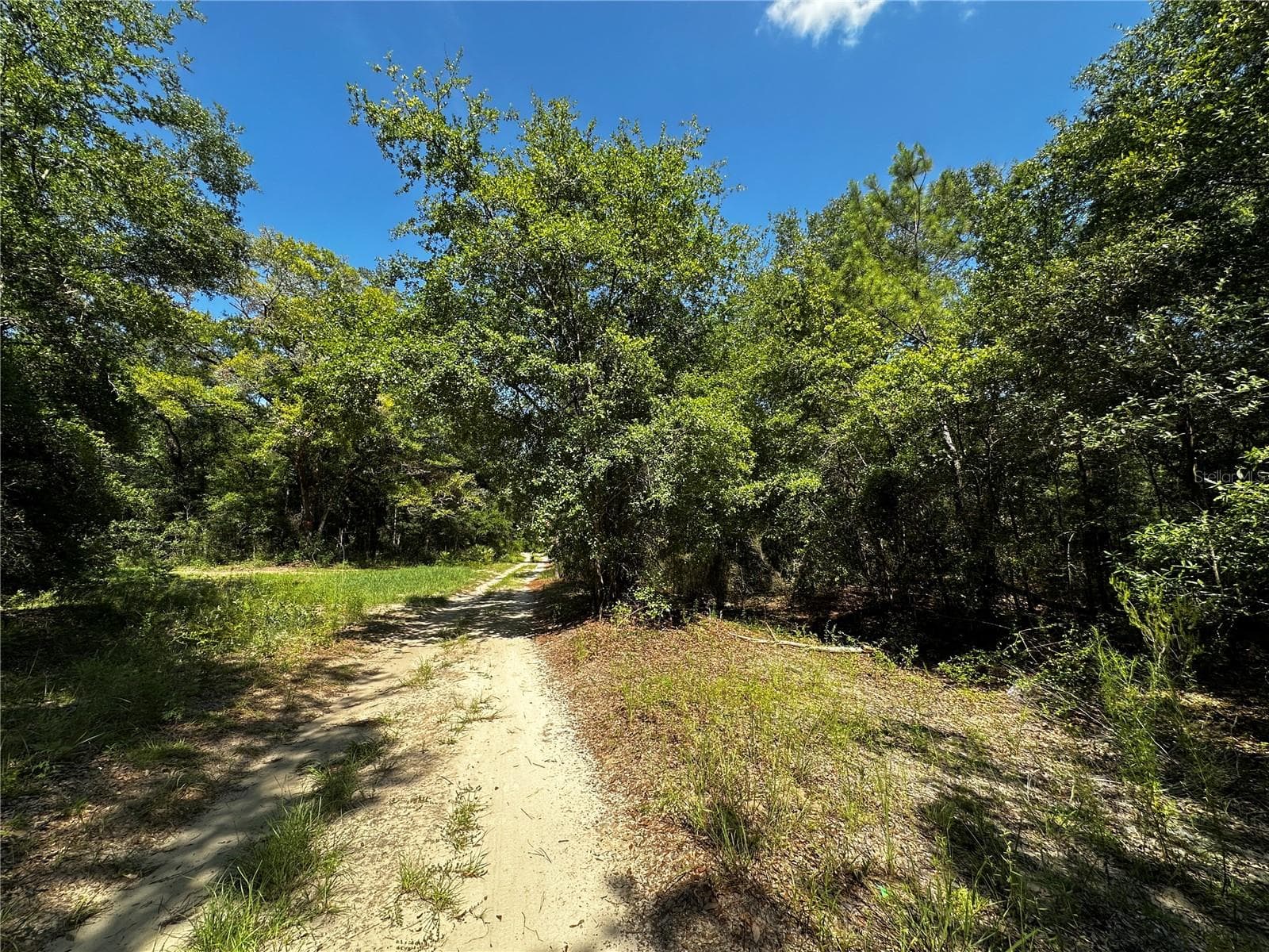 Land at TBD NE 81ST ST, BRONSON, photo 6 of 23
