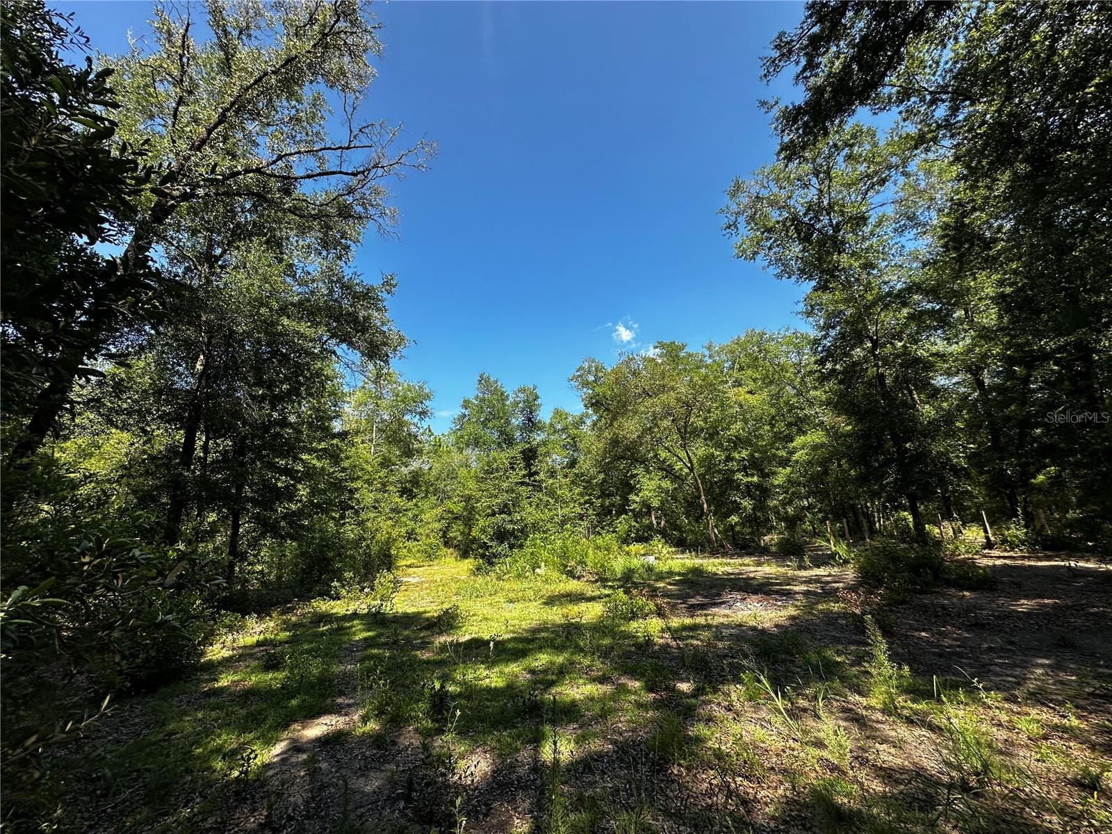 Land at TBD NE 81ST ST, BRONSON, photo 7 of 23