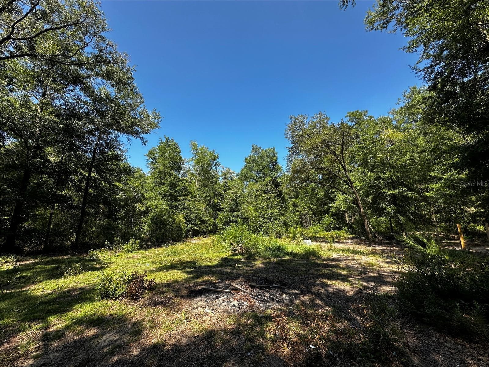 Land at TBD NE 81ST ST, BRONSON, photo 8 of 23
