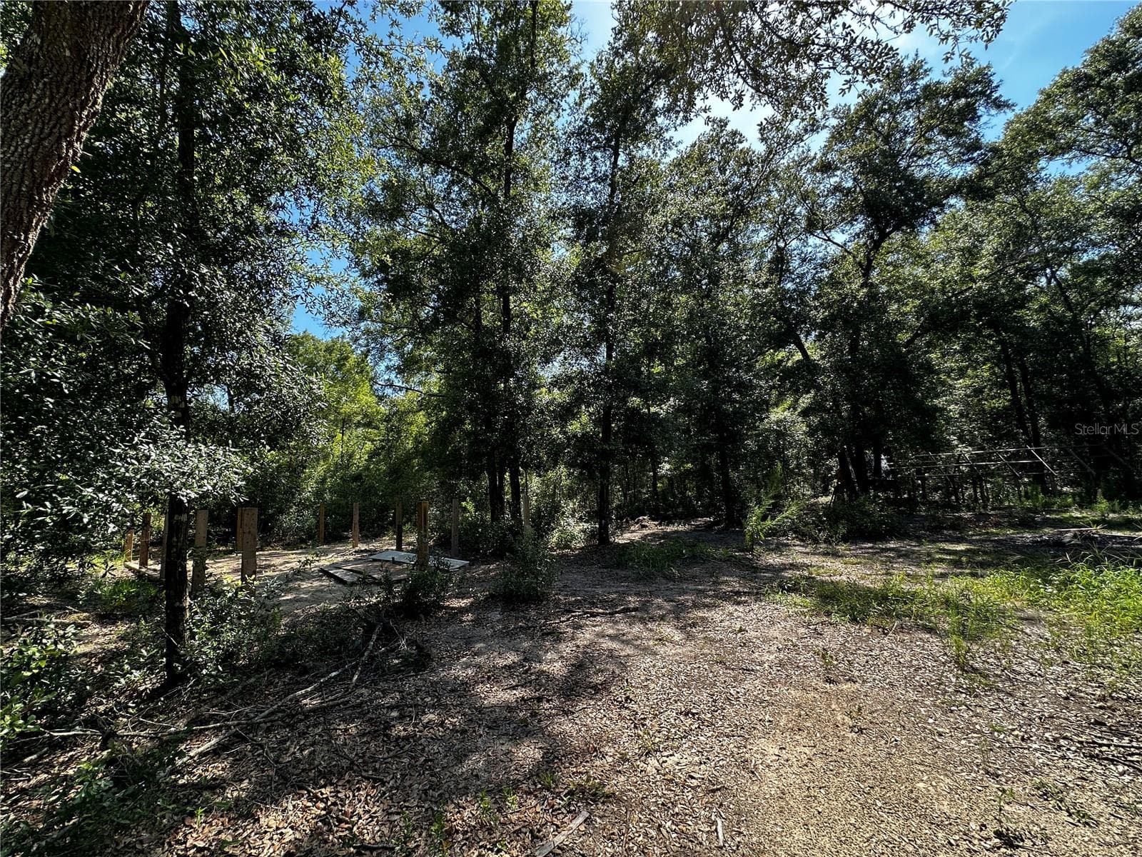 Land at TBD NE 81ST ST, BRONSON, photo 10 of 23