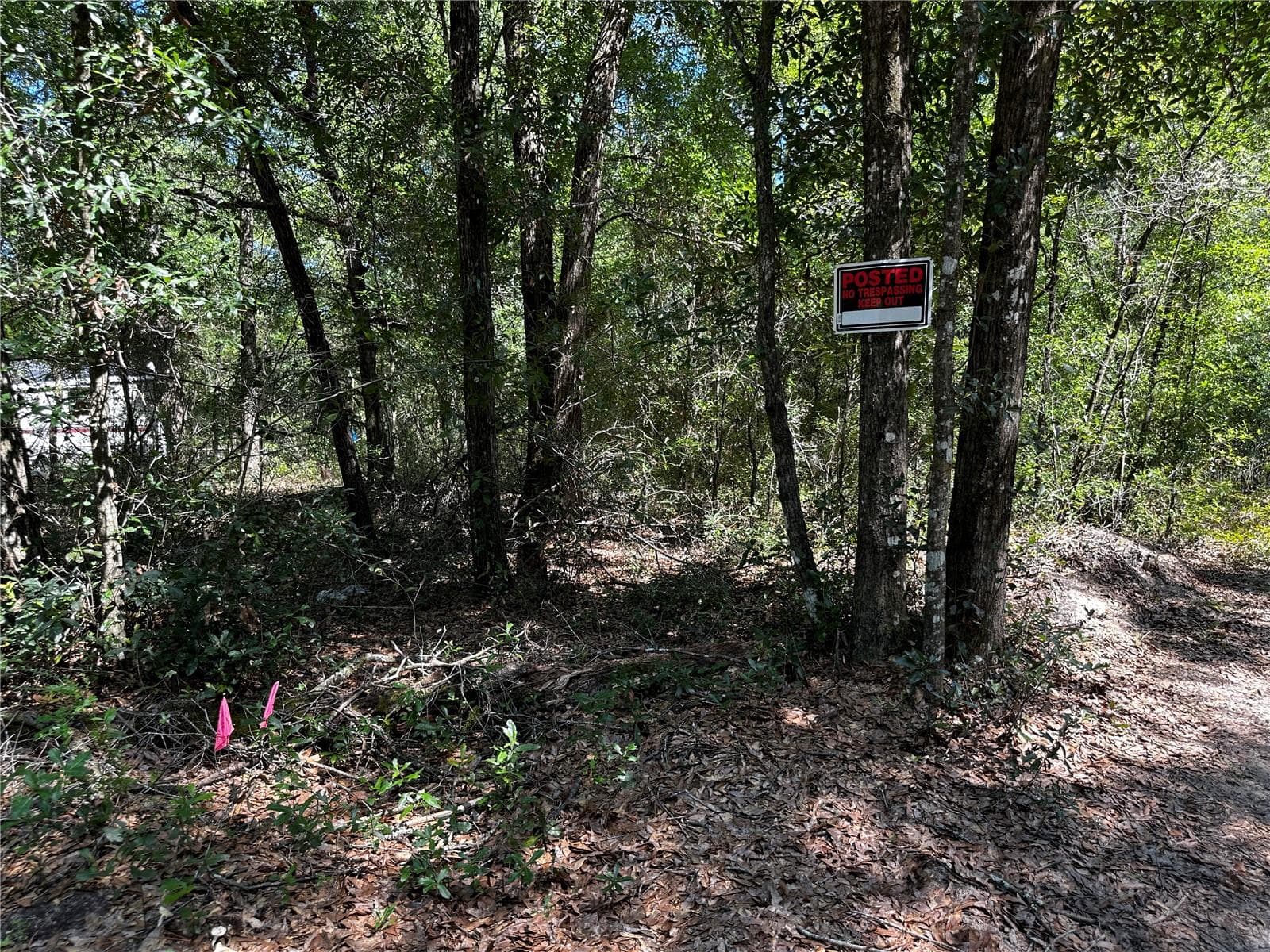 Land at TBD NE 81ST ST, BRONSON, photo 11 of 23