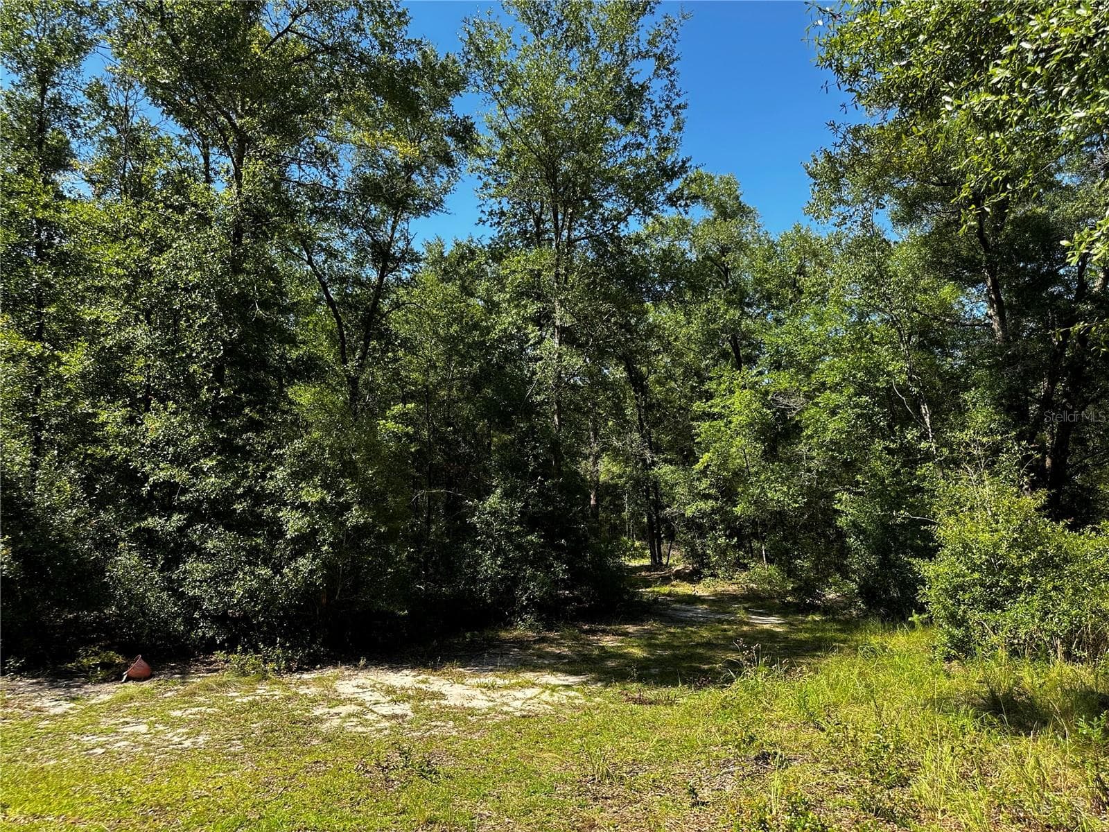 Land at TBD NE 81ST ST, BRONSON, photo 13 of 23