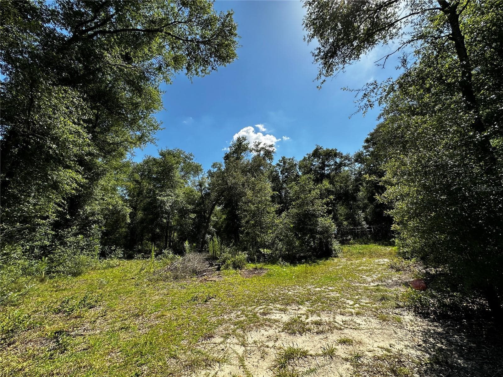 Land at TBD NE 81ST ST, BRONSON, photo 14 of 23