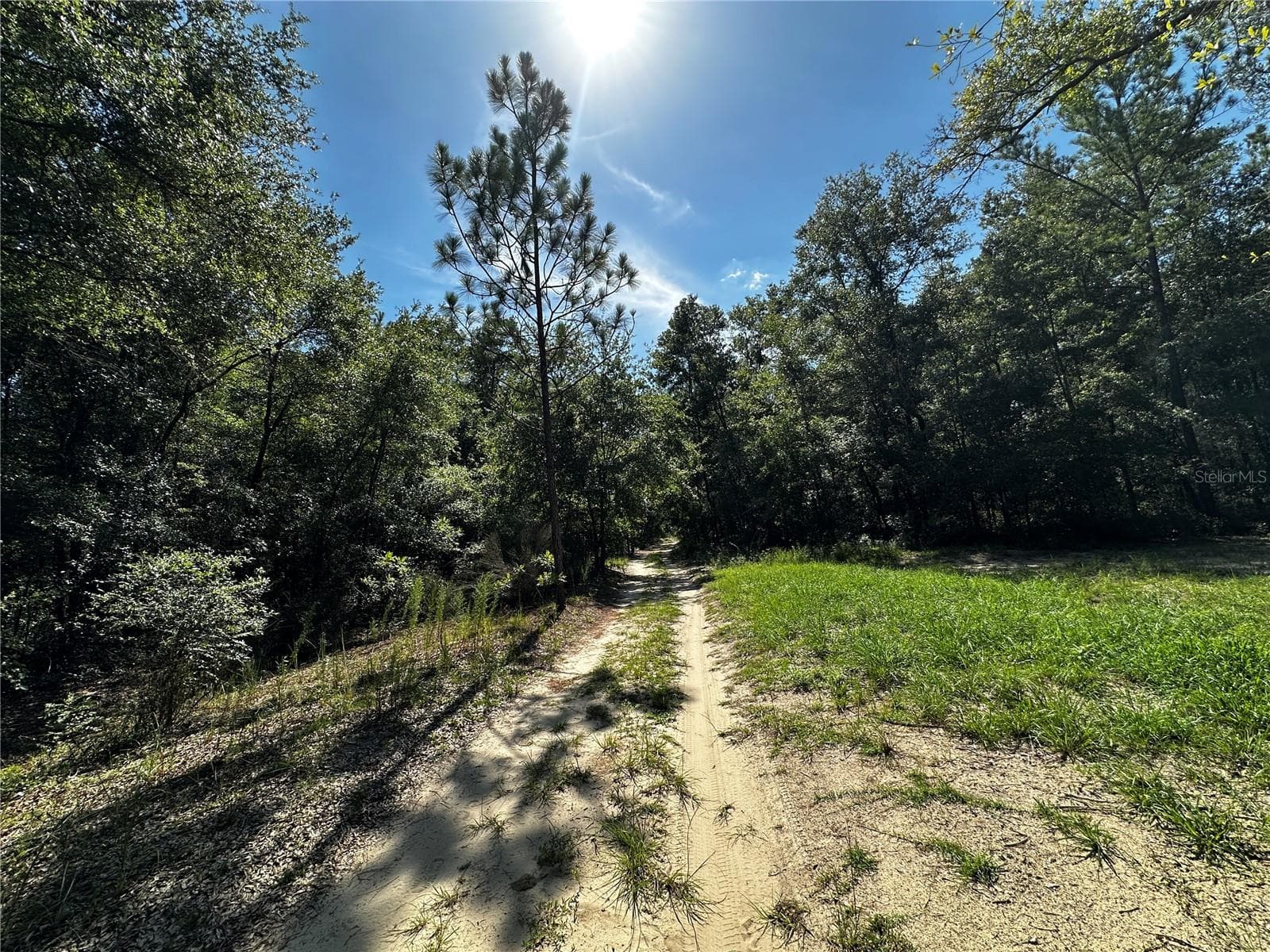 Land at TBD NE 81ST ST, BRONSON, photo 22 of 23