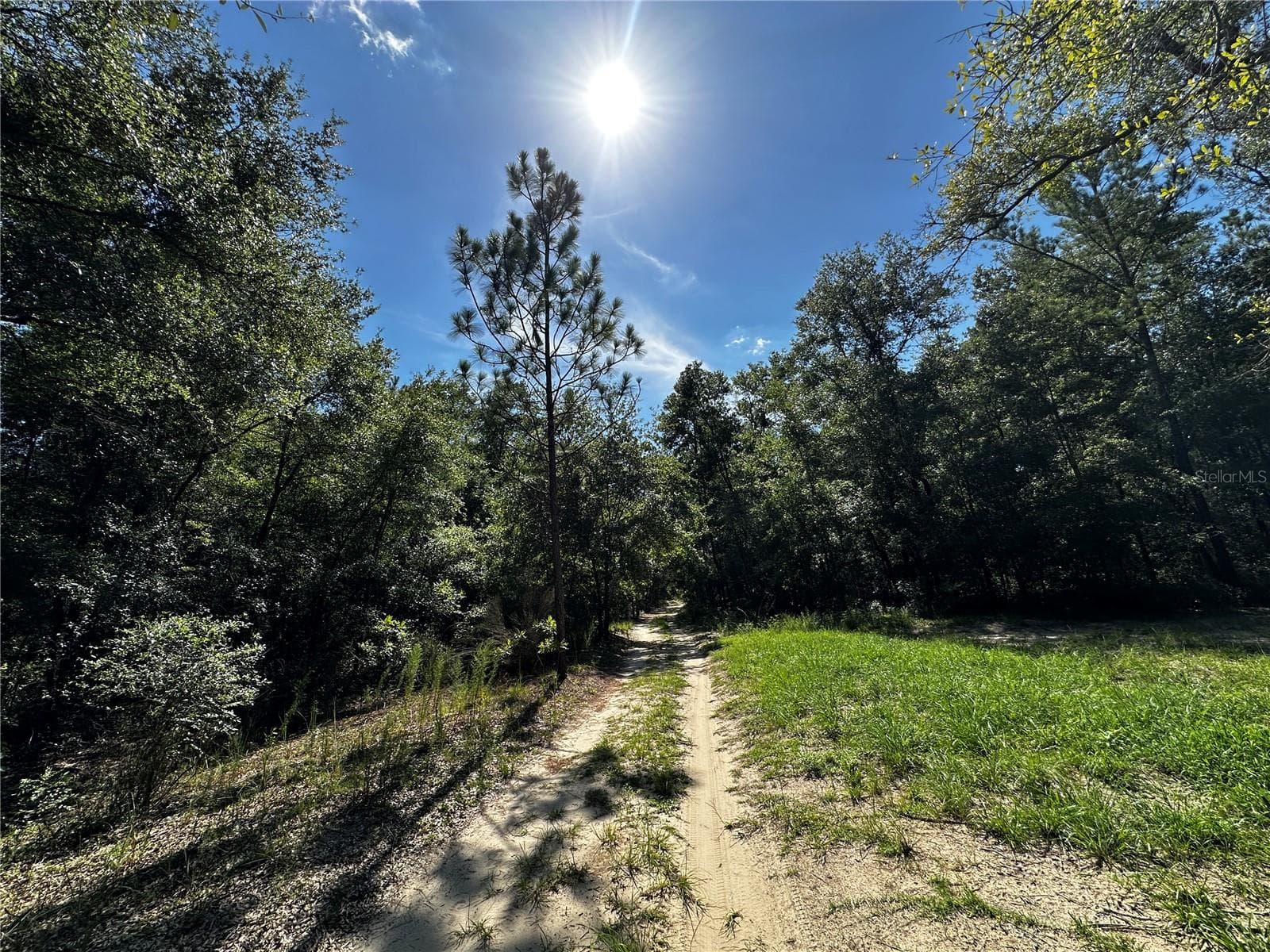Land at TBD NE 81ST ST, BRONSON, photo 23 of 23
