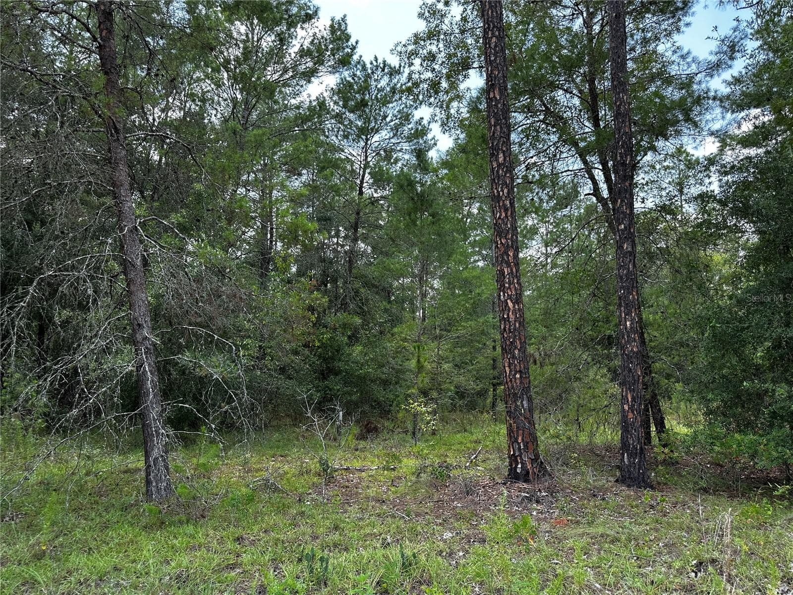 Land at 6270 NE 139TH AVE, WILLISTON, photo 9 of 18