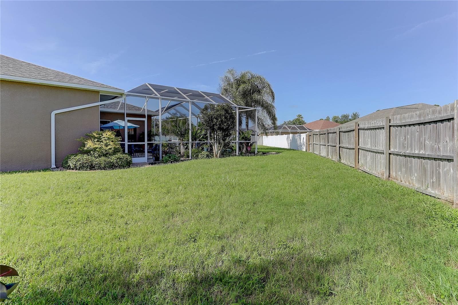 Backyard - 3815 RED BLUFF CT, LAND O LAKES