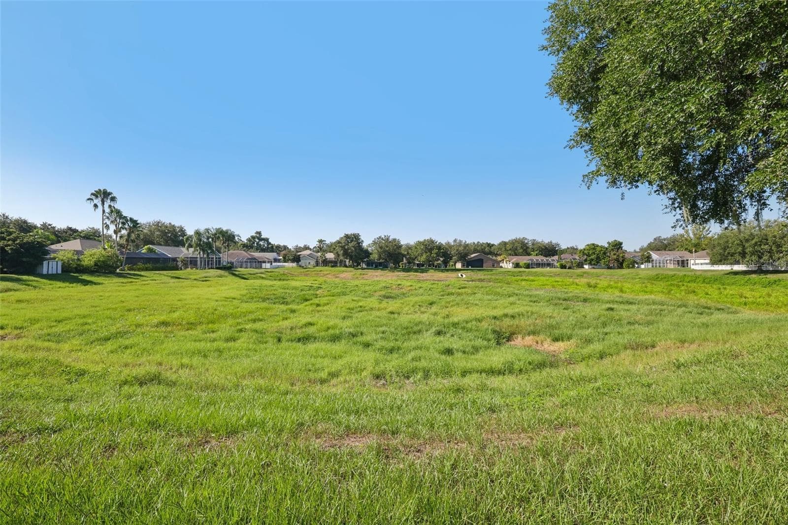 Single Family Residence at 205 ROSANA DR, BRANDON, photo 38 of 66