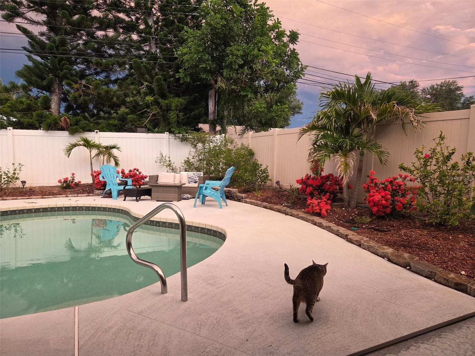 Pool area with vynal fenced yard and mature landscaping and flowering bushes - 704 23RD ST SW, LARGO
