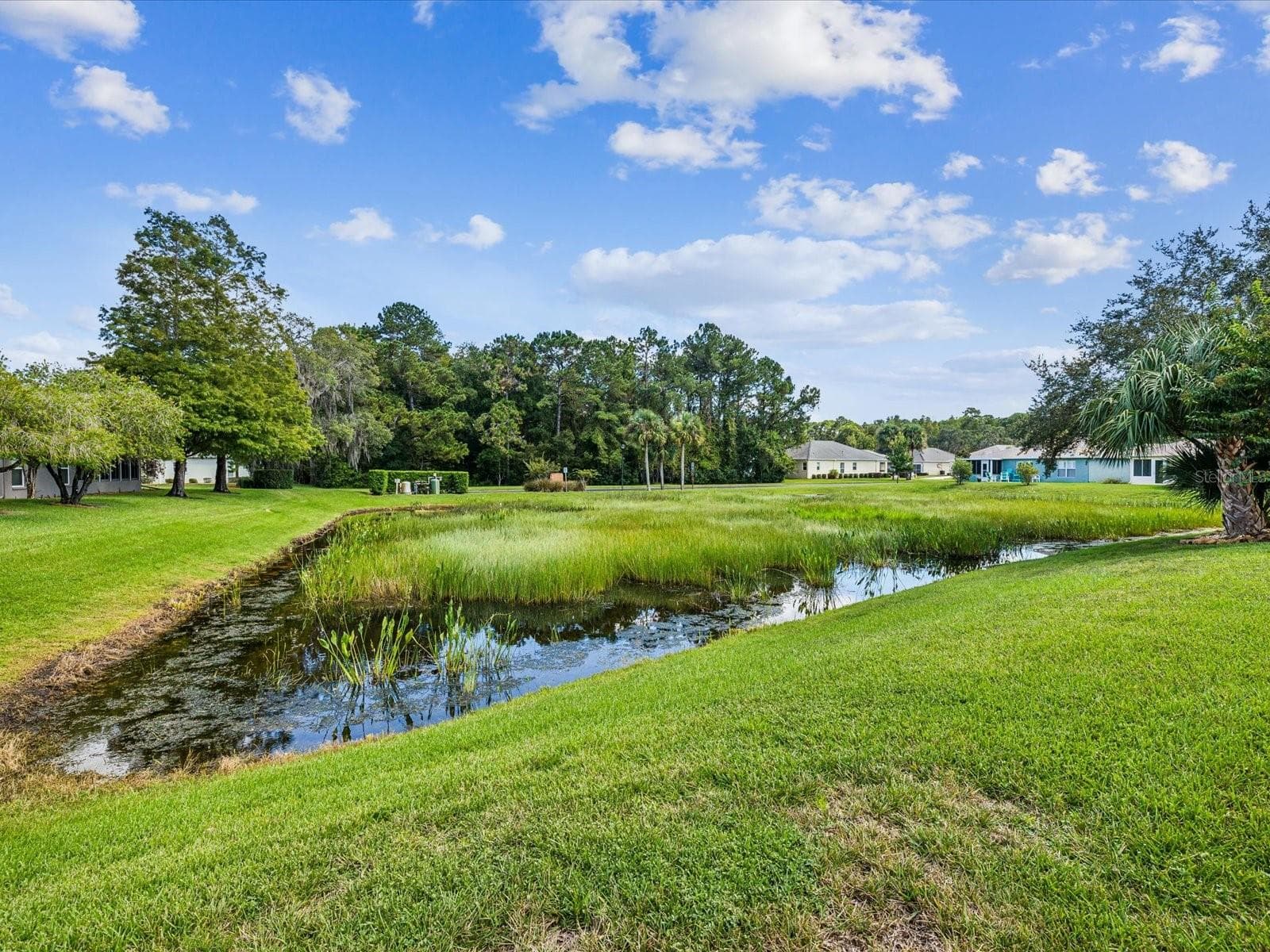 Single Family Residence at 11404 TURTLE DOVE PL, NEW PORT RICHEY, photo 35 of 67