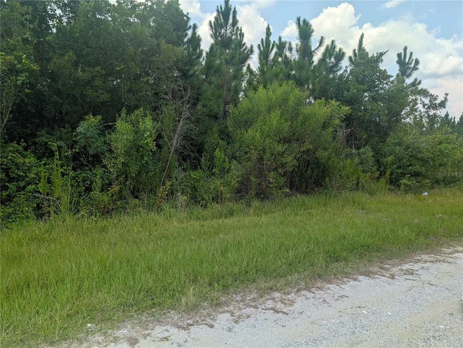 103 TROPICANA DR