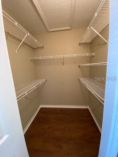 Master bedroom closet - 5005 CITY ST #1335, ORLANDO