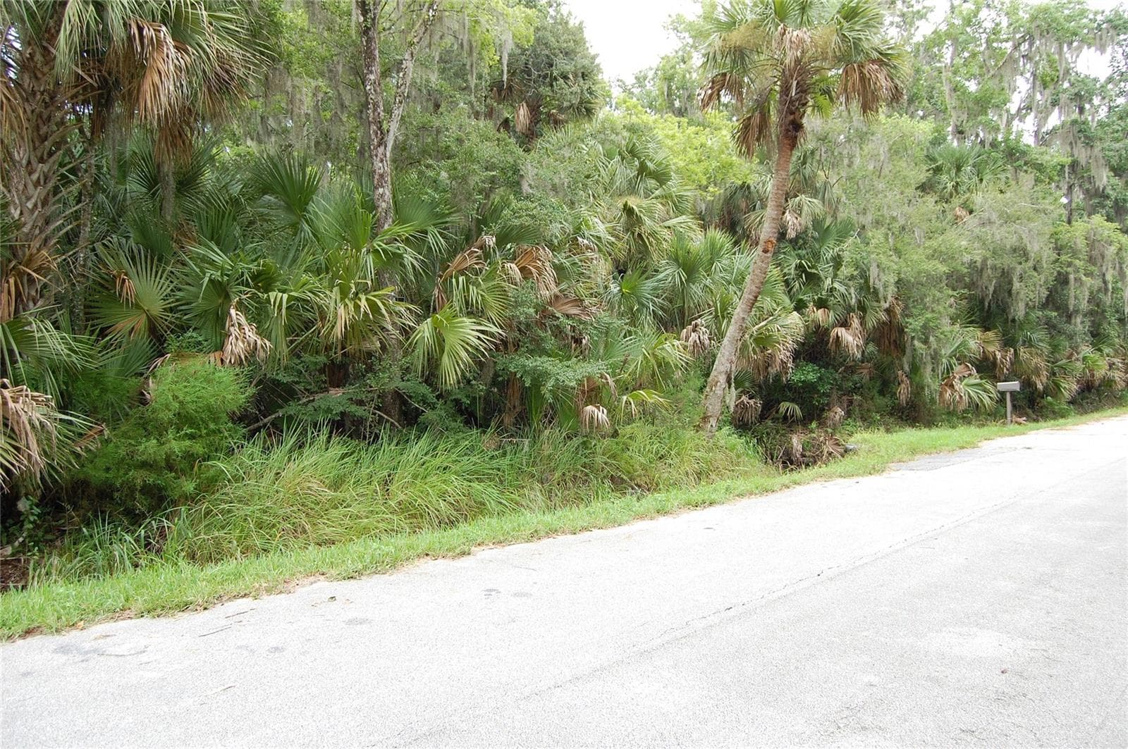 PALM DR