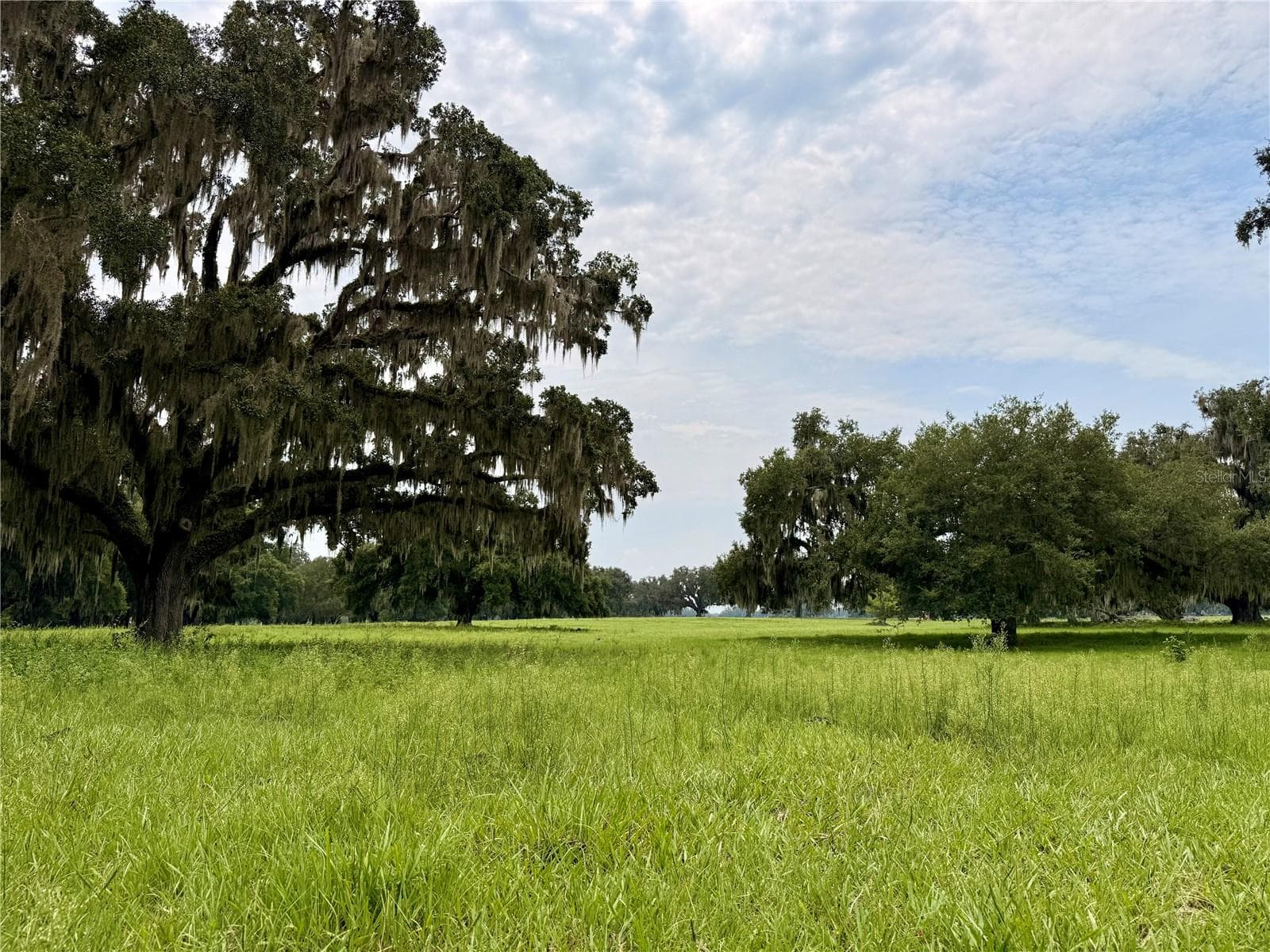 Land at E C-478, WEBSTER, photo 2 of 6