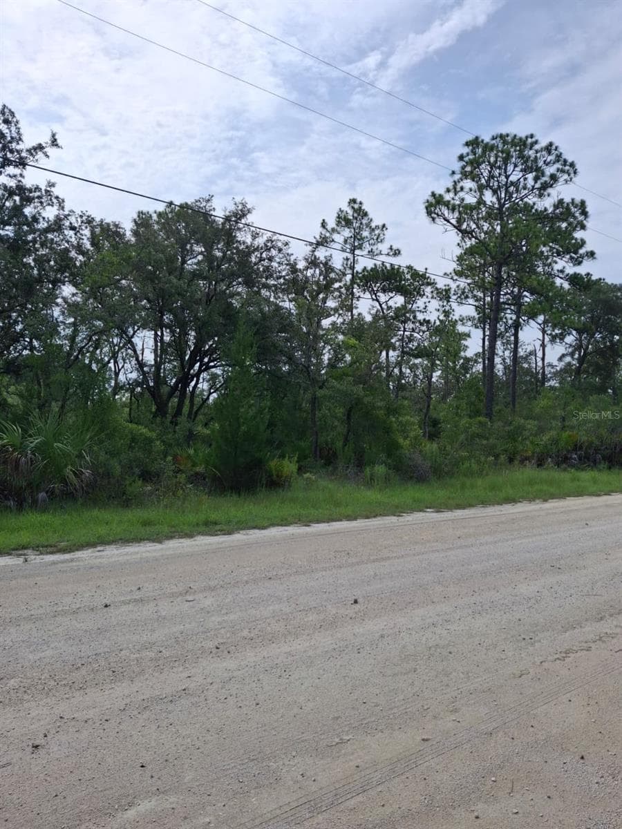 Land at 18308 PARAKEET RD, WEEKI WACHEE, photo 7 of 8