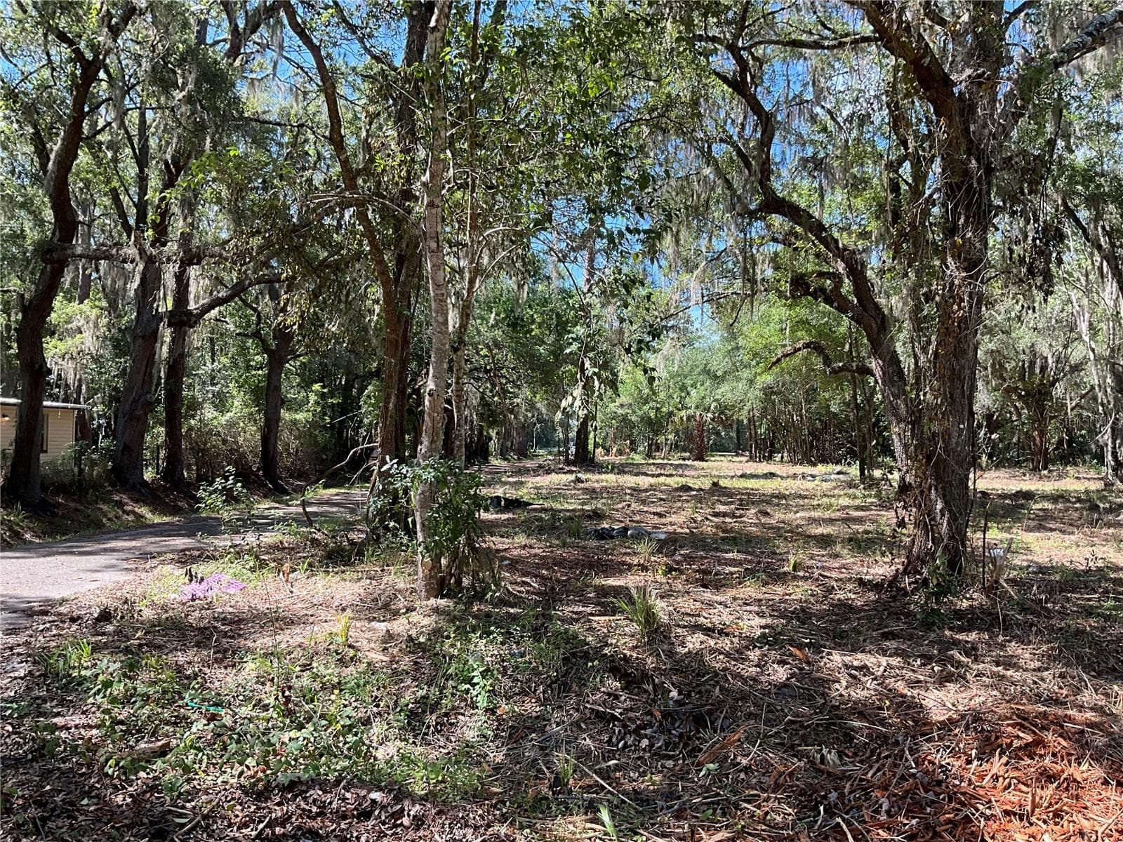 Land at 2330 E UNIVERSITY AVE, GAINESVILLE, photo 13 of 31