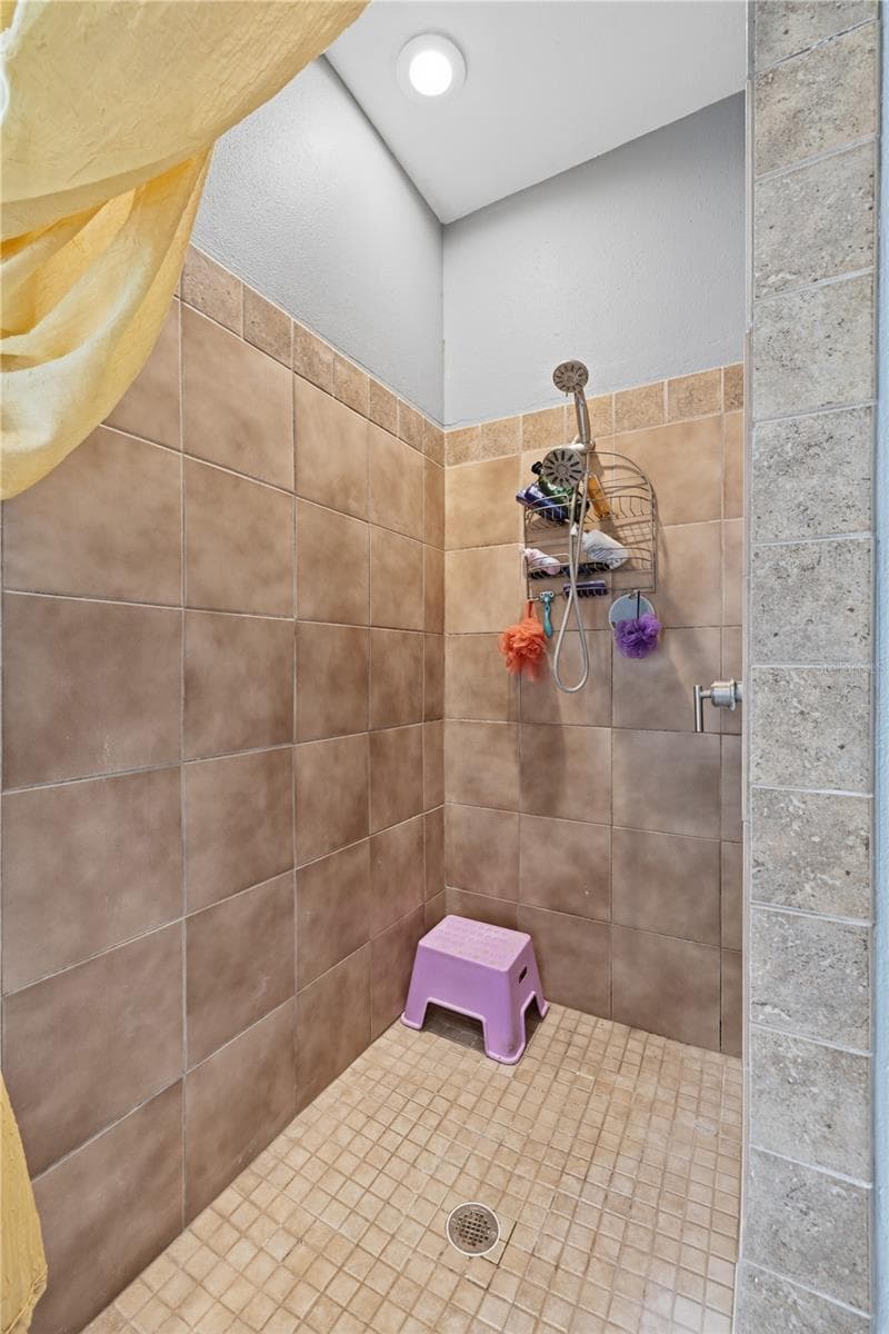 Single Family Residence at 9302 HERITAGE OAK CT, TAMPA, photo 21 of 24