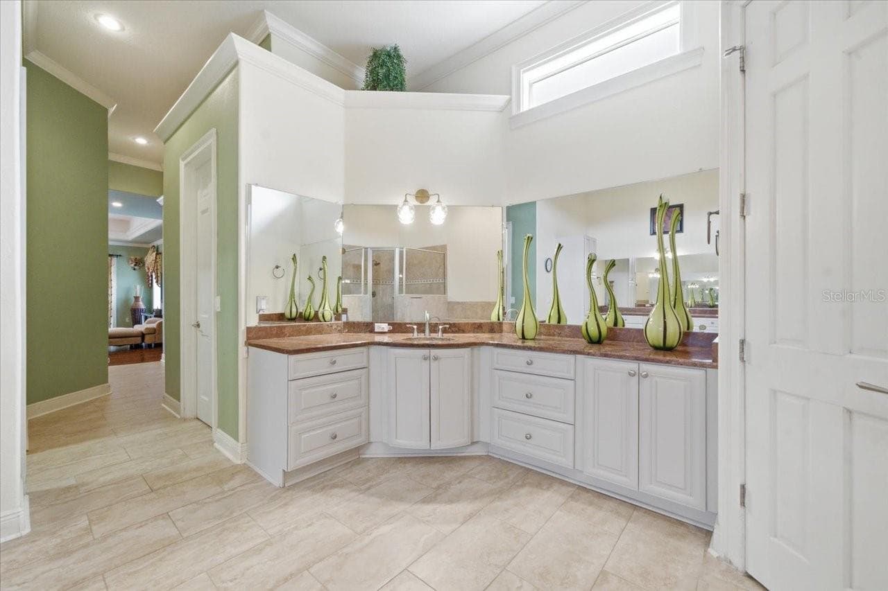 Master Bathroom - 19402 JACOBS RIVER RUN, LUTZ
