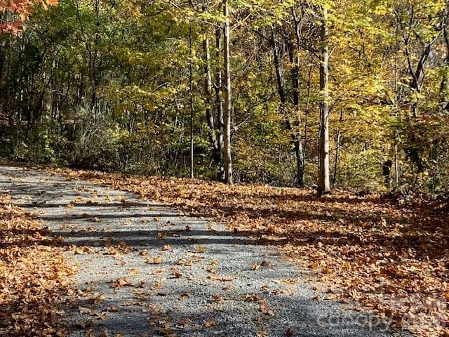 Lot at Waynesville, photo 2 of 9