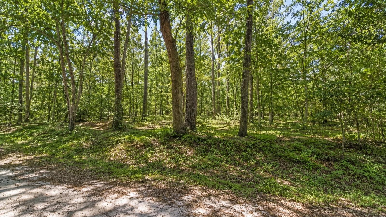 Land at 1401 SE 41ST AVE, GAINESVILLE, photo 2 of 2