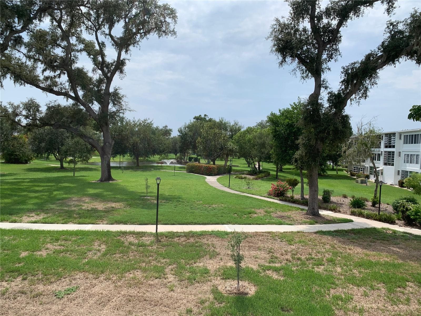 View of garden area from back screened porch - 8126 112TH ST #203, SEMINOLE