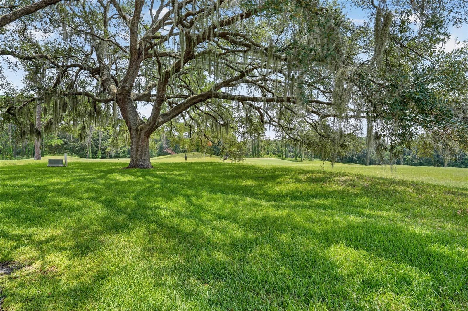 Single Family Residence at 13857 DEL WEBB BLVD, SUMMERFIELD, photo 62 of 93
