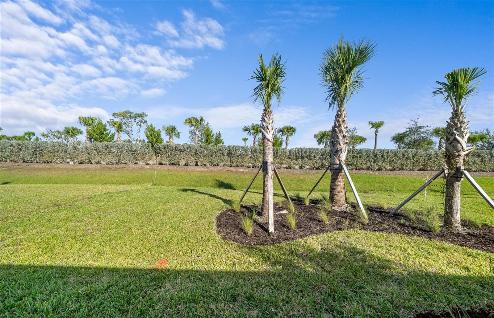 Daylen floorplan, homes may vary. - 813 BALLEBY TRL, BRADENTON