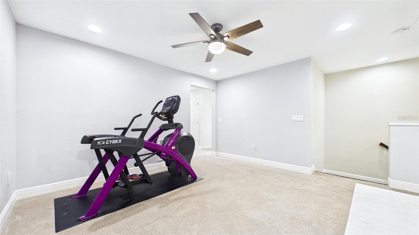 Loft/Bonus - 14140 DAMSELFLY DR, TAMPA