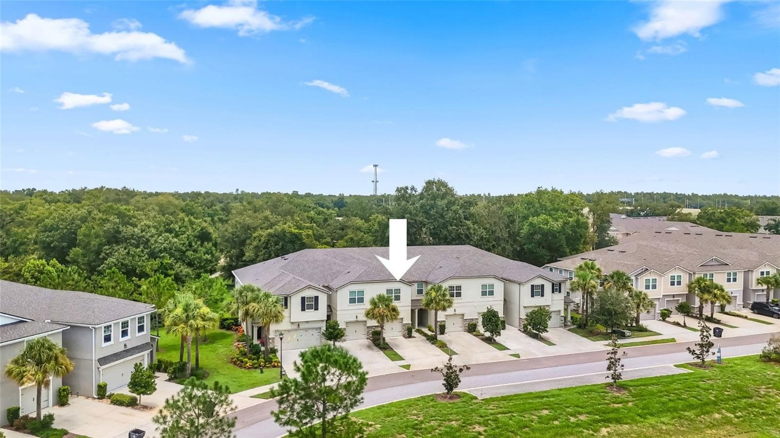 Townhouse at 14140 DAMSELFLY DR, TAMPA, photo 51 of 61