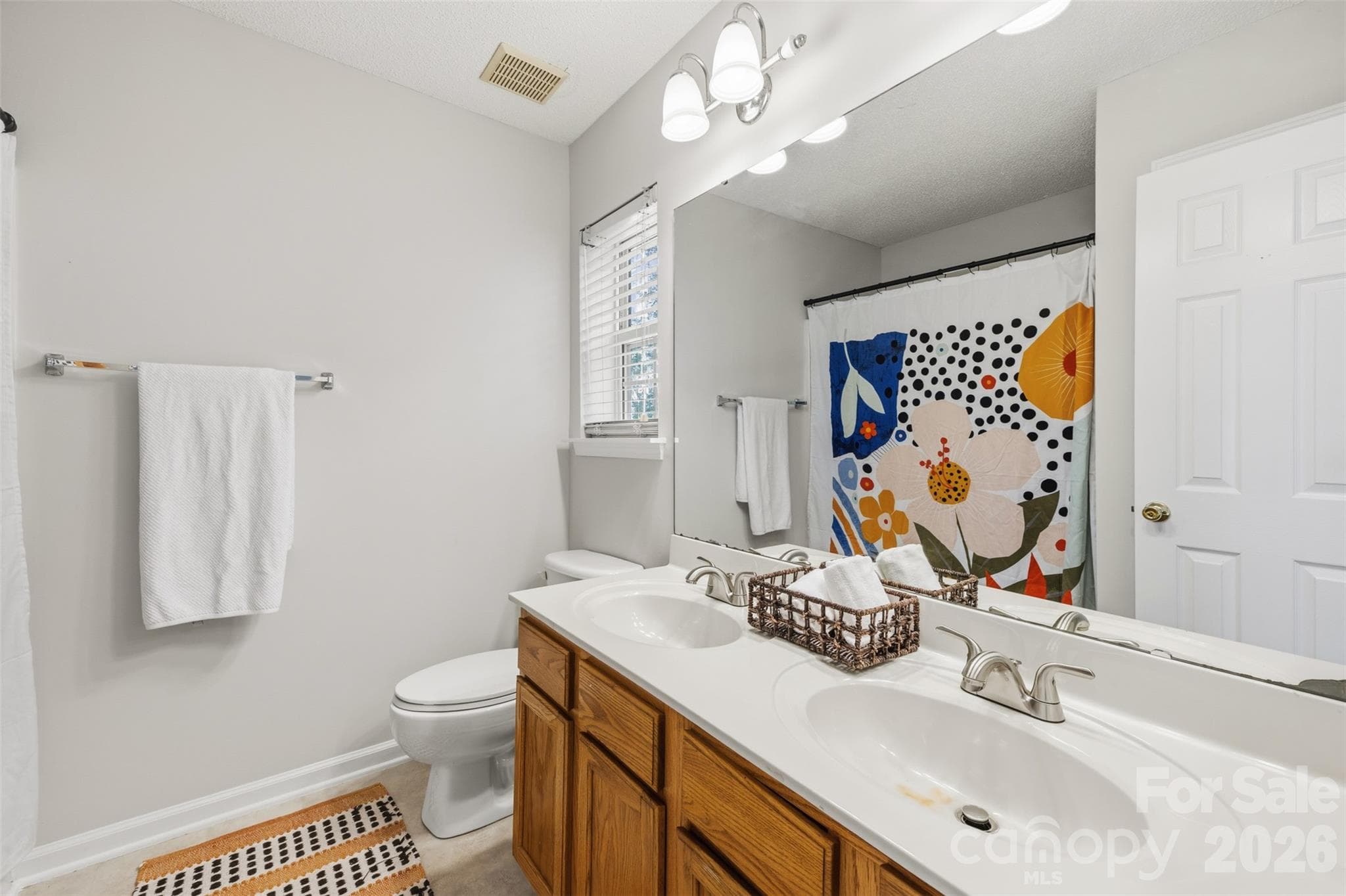 Primary bath 2 - 316 Wilkes Place Drive, Fort Mill