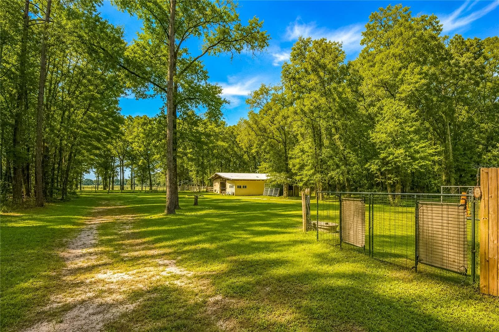 Farm at 15970 NW 53RD ST, MORRISTON, photo 50 of 66