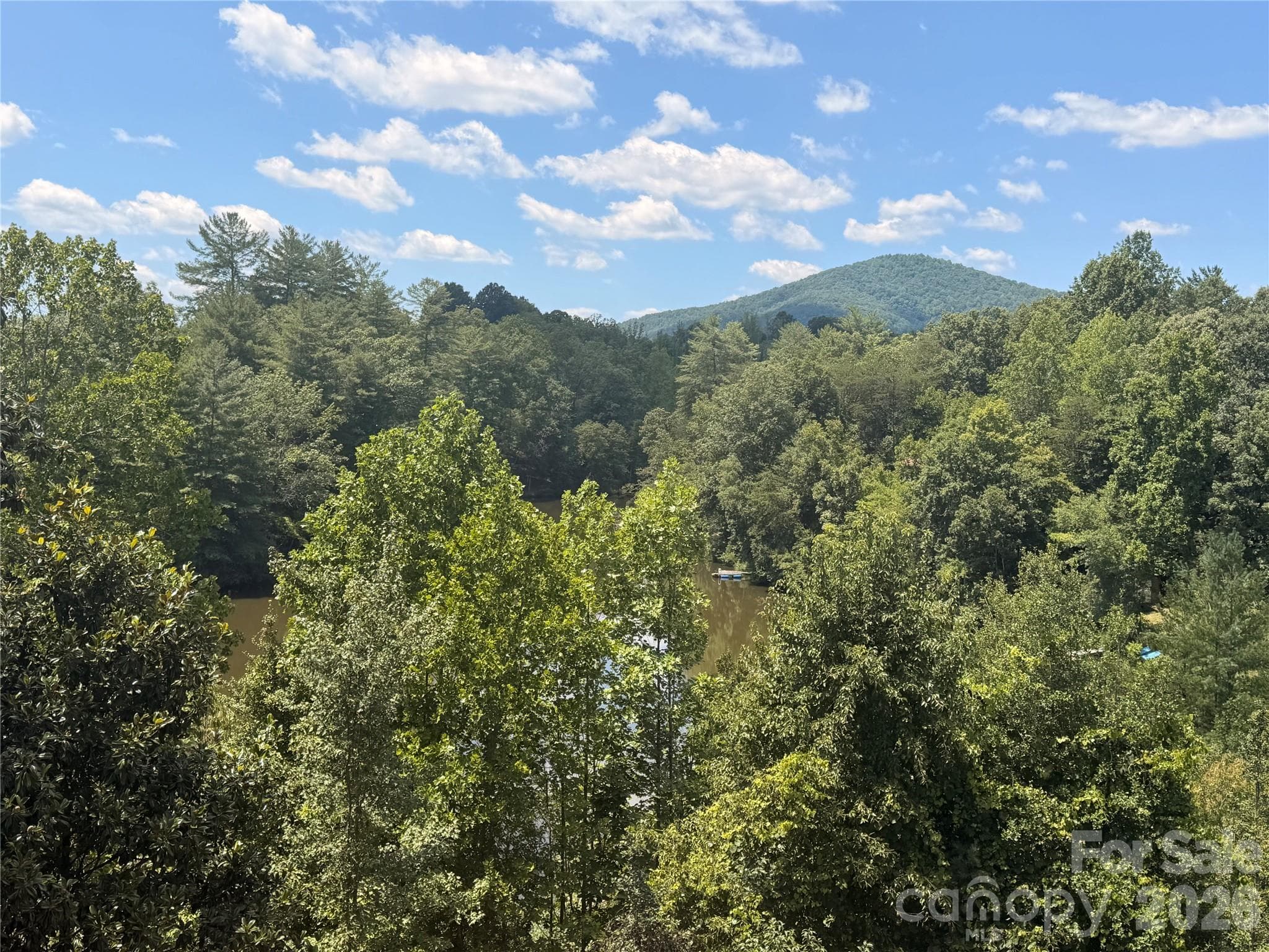 Single Family Residence at 4991 Albert Williams Road W, Connelly Springs, photo 32 of 34