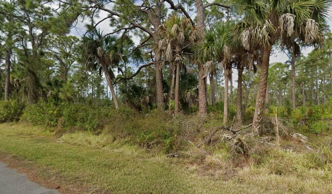 Land at 1235 HESTER ST, PORT CHARLOTTE, photo 3 of 4