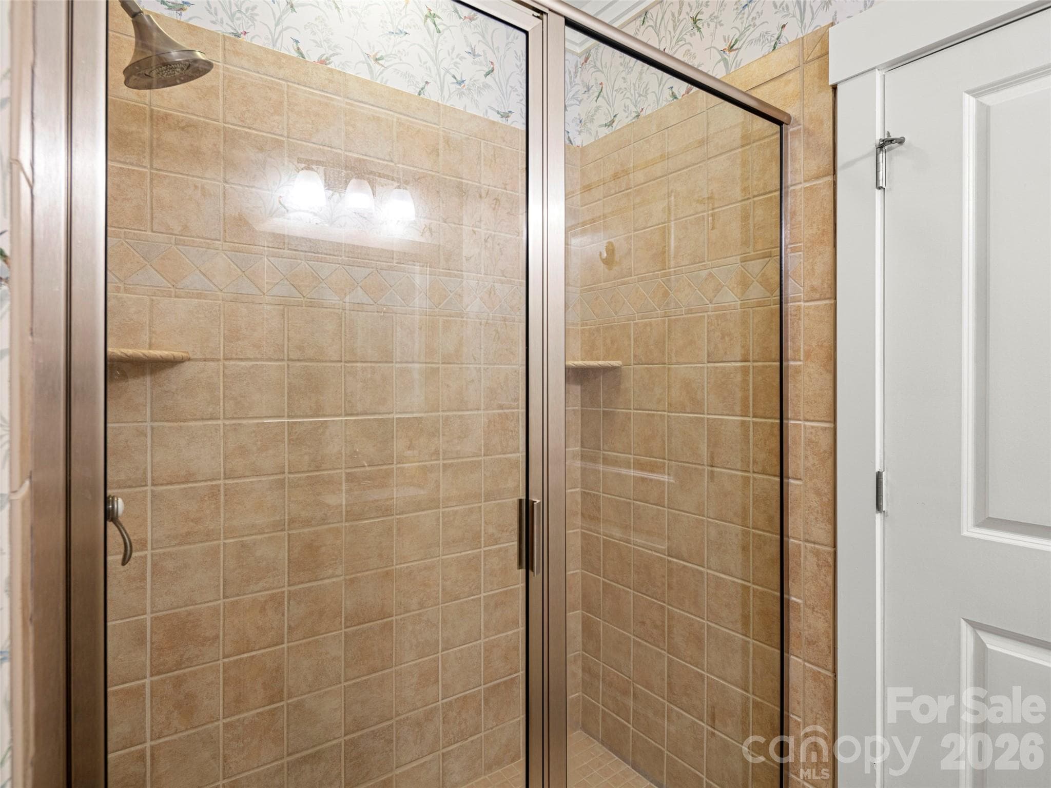 Primary Shower - 5 Farleigh Street, Asheville