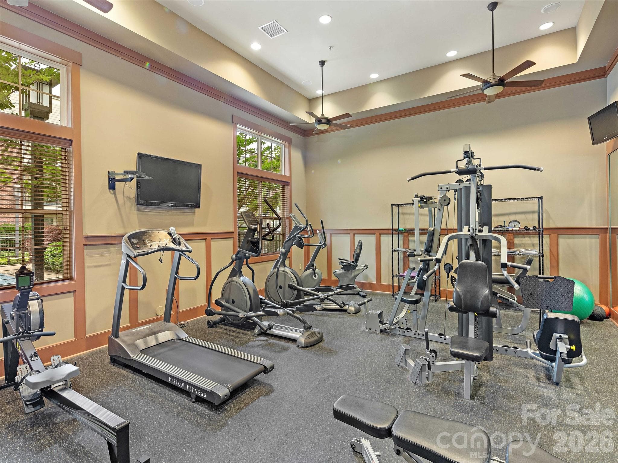 Workout room - 5 Farleigh Street, Asheville